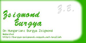 zsigmond burgya business card